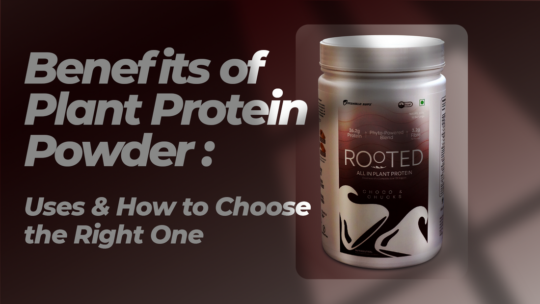 Benefits of Plant Protein Powder