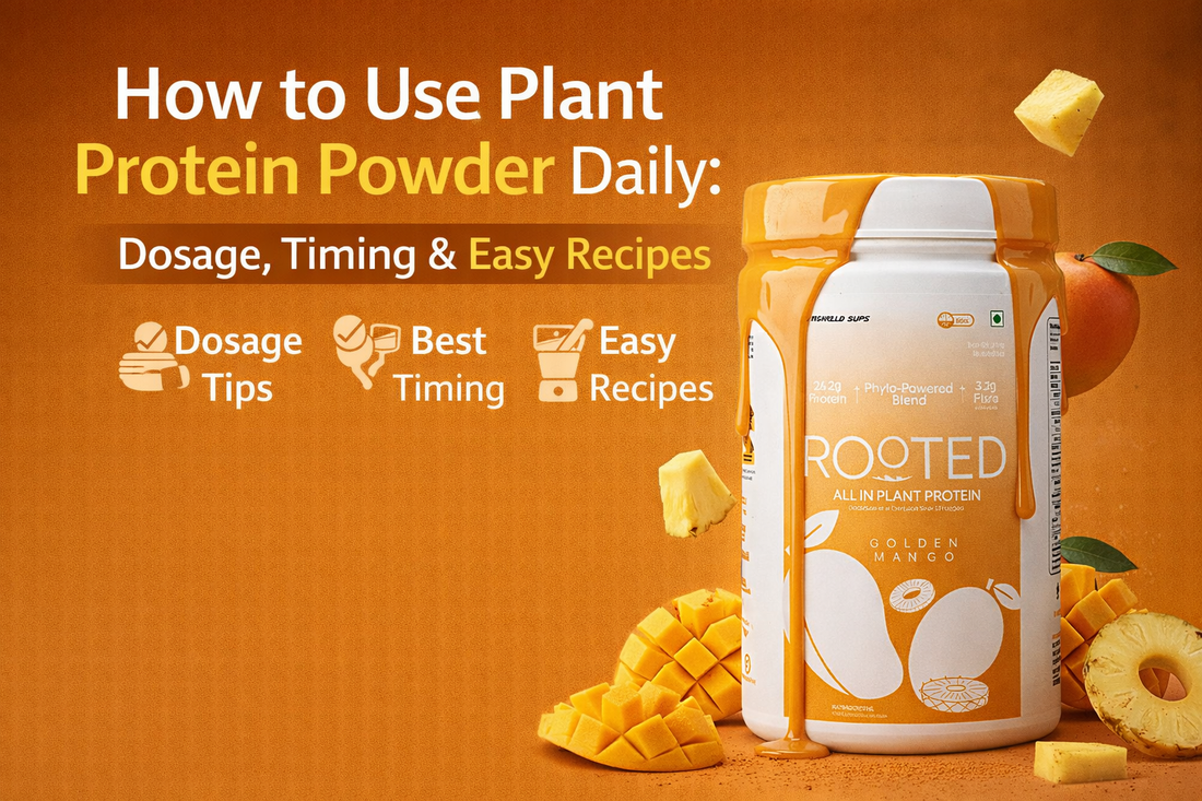 How to use plant protein powder daily